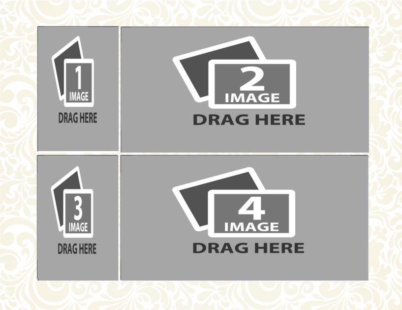 d49 copy copy.png