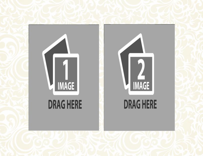 d51 copy copy.png