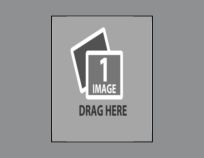 20a.png