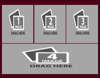 just a template template f.pdf #24