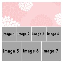 PinkDahlia #9