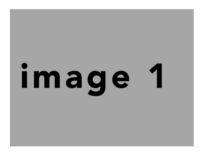 BasicNeutral 11x8.5 #8