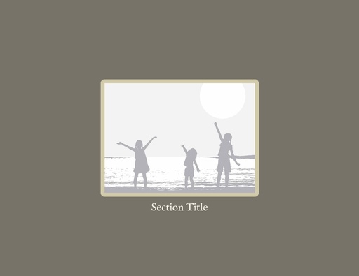 Section Break - 1 Image