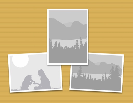 3 Images T 