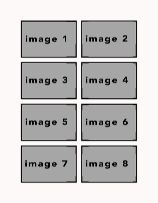 White8