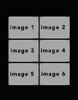 potraitblack #11