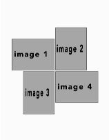 potraitwhite #8