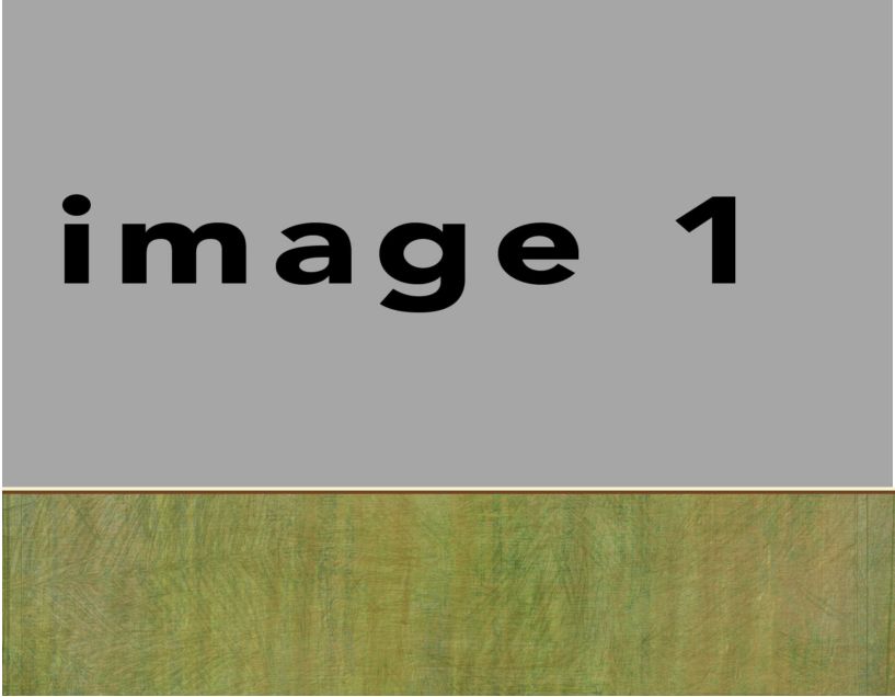 nature-1 #15