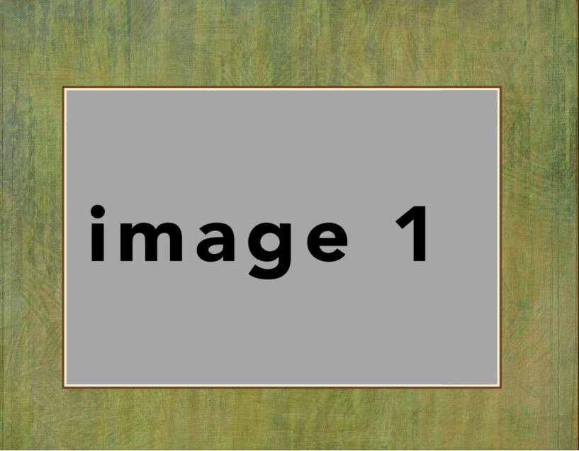 nature-1 #19