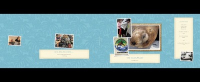 The Galapagos