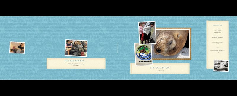 The Galapagos